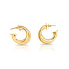 Alisa Hoop Earrings