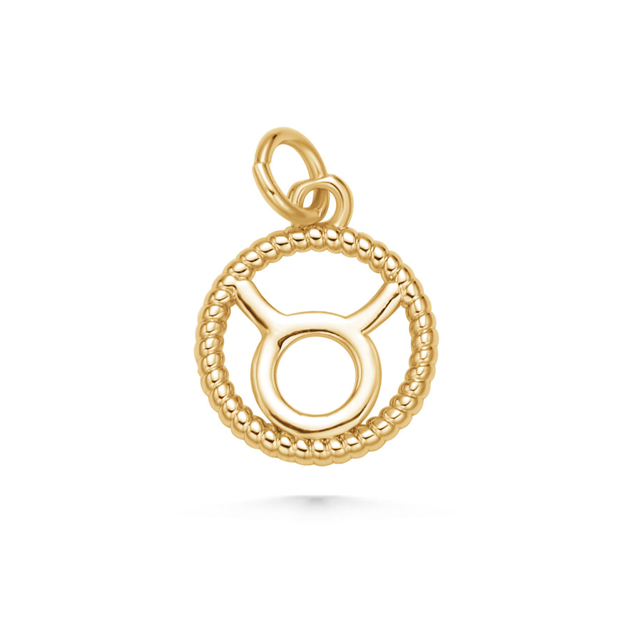 Zodiac Open Rope Charm